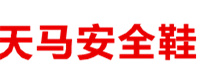 天马安防