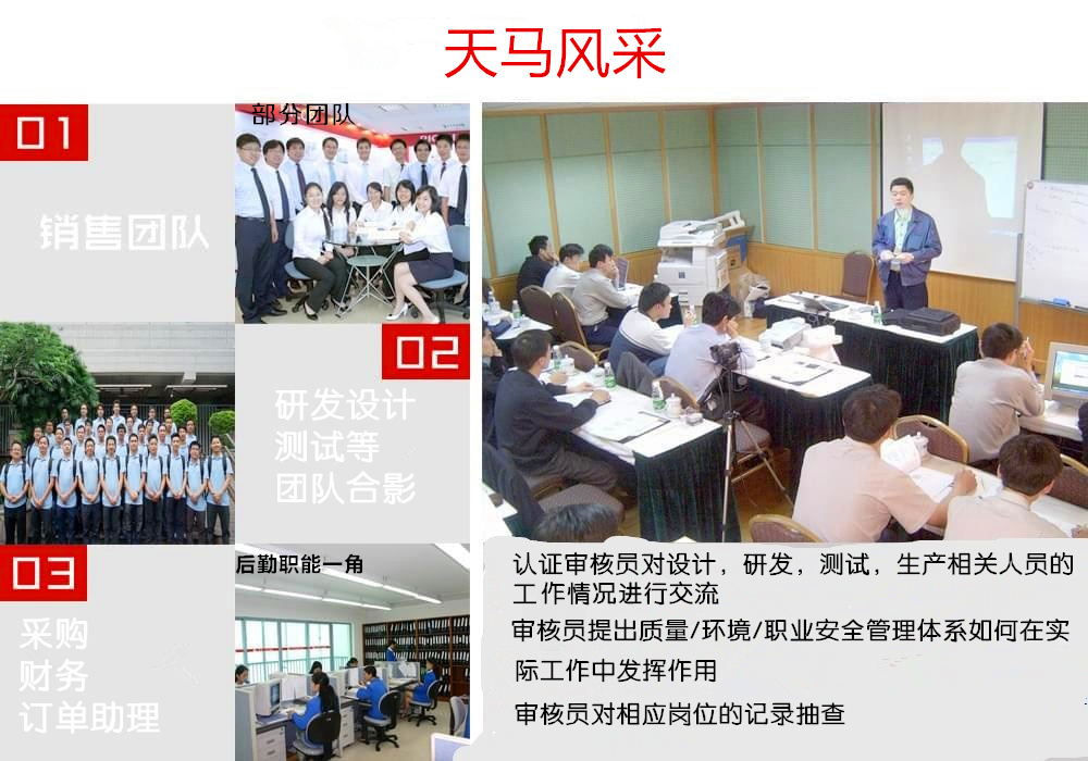 天马安防